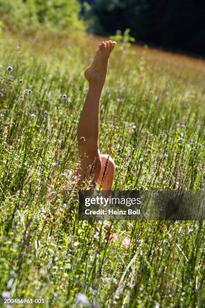 woman lying in tall grass, stretching leg - timothy grass stock pictures, royalty-free photos & images