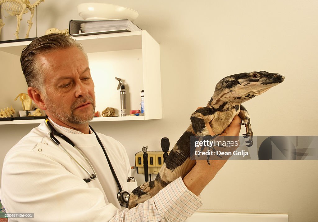 Vet holding lizard