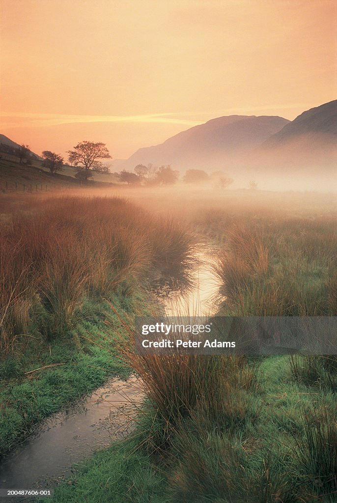 Wales, Snowdonia NP, stream and mist, dawn