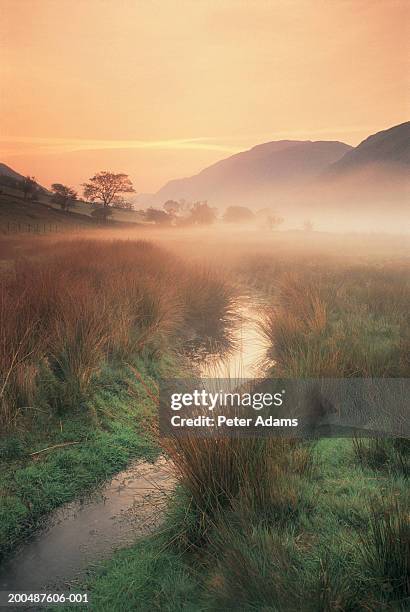 wales, snowdonia np, stream and mist, dawn - september uk stock pictures, royalty-free photos & images