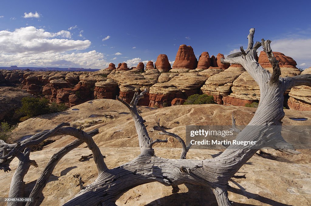 USA, Utah, Canyonland National Park, Colorado Plateau, the Needles