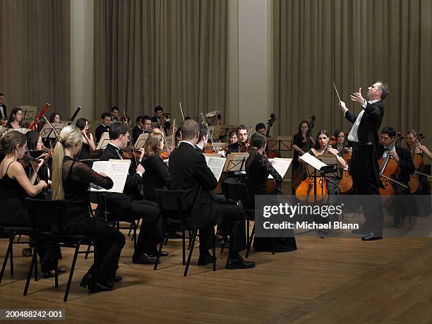 conductor leading orchestra - violin family stock pictures, royalty-free photos & images