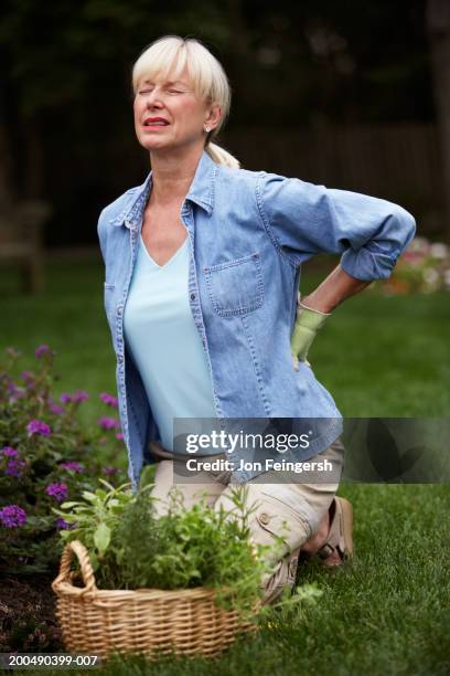 mature woman gardening, grabbing lower back, grimacing - back pain woman stock pictures, royalty-free photos & images