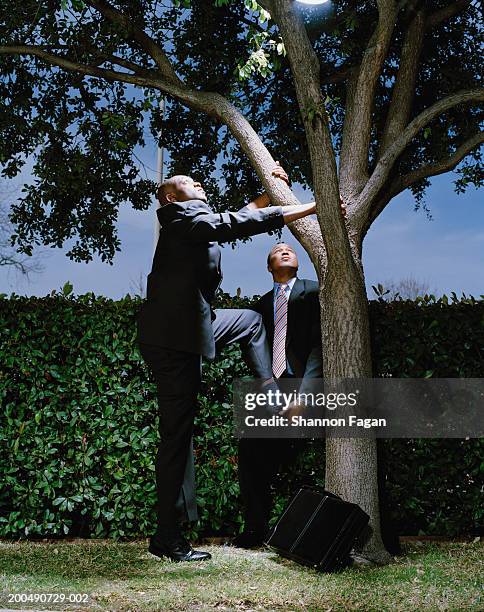 young businessman attempting to climb tree by colleague - dar uma ajuda imagens e fotografias de stock