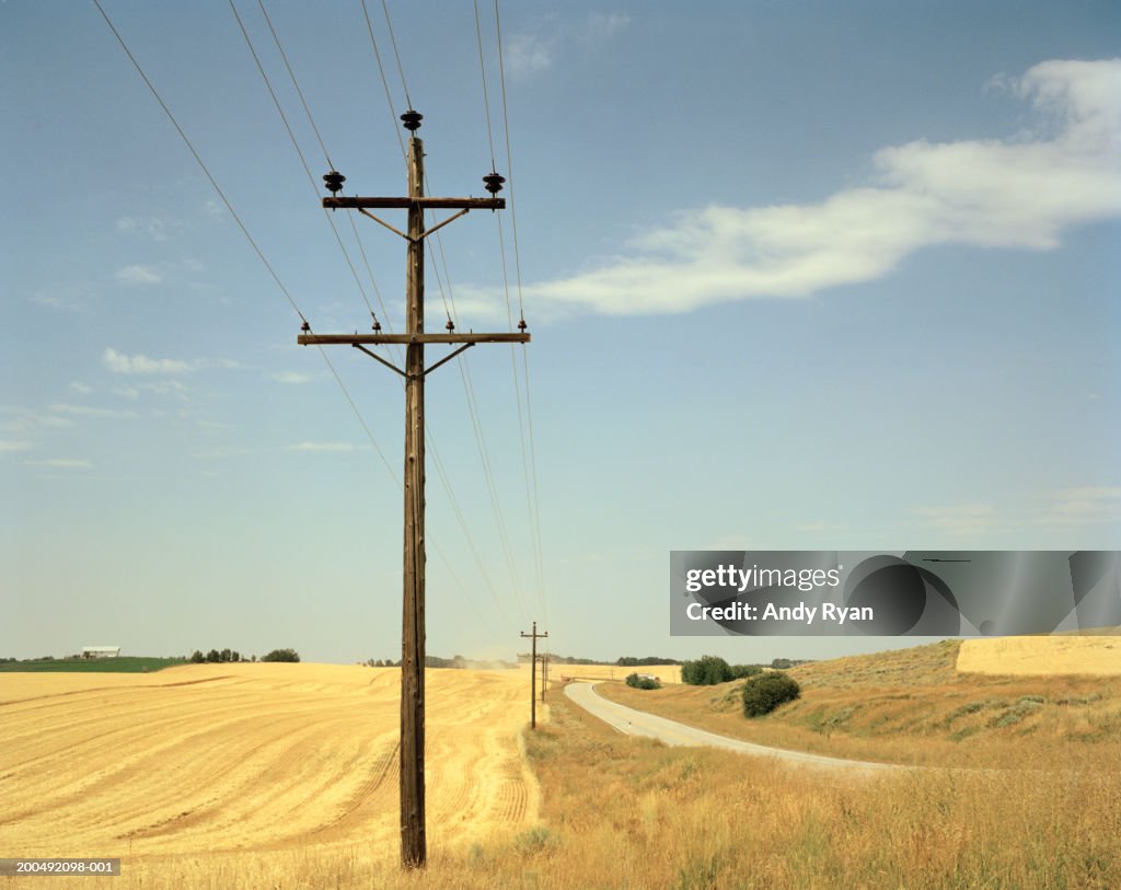 Power Line Rural Distribution Electricity Poles And Power Lines In Rural Area High-Res Stock Photo ...