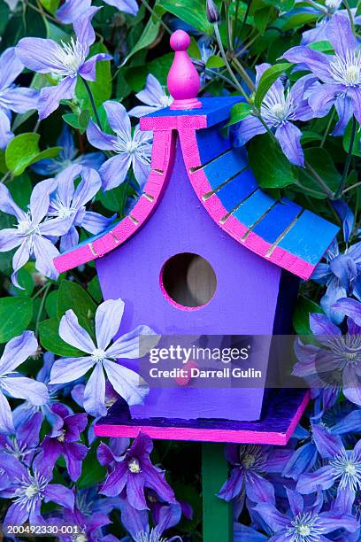 birdhouse matching surrounding clematis, close-up - bird house 個照片及圖片檔