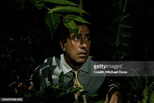 mature businessman in jungle - short trees bildbanksfoton och bilder