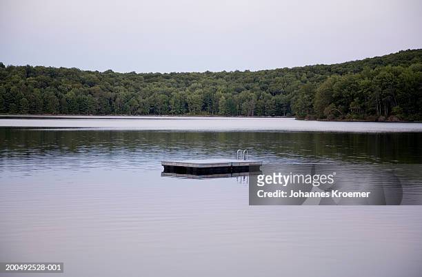 pontoon in lake - floating moored platform stock pictures, royalty-free photos & images