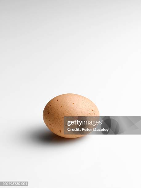 egg, against white background, close-up - spotted egg stock pictures, royalty-free photos & images