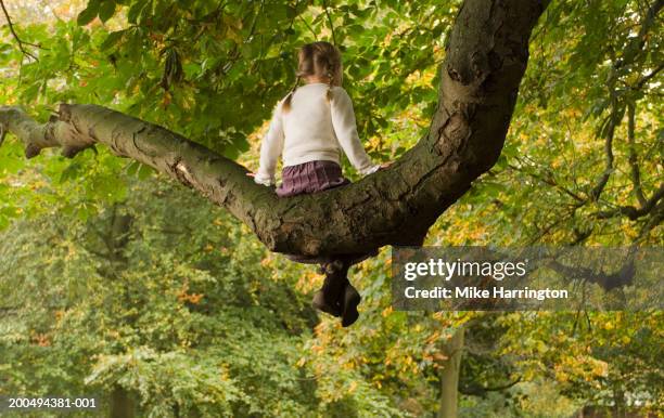 girl (5-7) sitting in tree, rear view, low angle view - girl tree foto e immagini stock