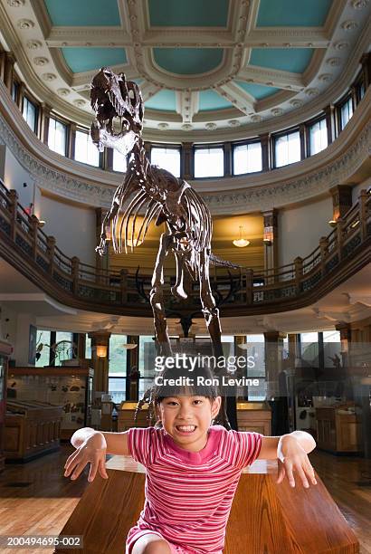 girl (9-11) imitating  tyrannosaurus rex skeleton in museum, portrait - dinosaur skeleton stockfoto's en -beelden