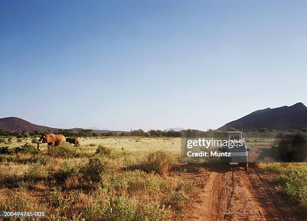 kenya, toursists in van looking at elephants (loxodonta africana) - samburu-national-park stockfoto's en -beelden