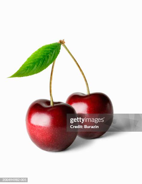 two cherries and stalk, against white background, close-up - cherry stock-fotos und bilder