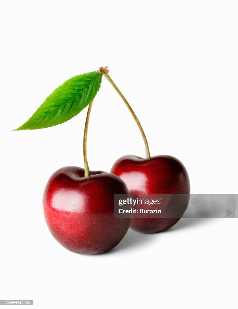 Two cherries and stalk, against white background, close-up