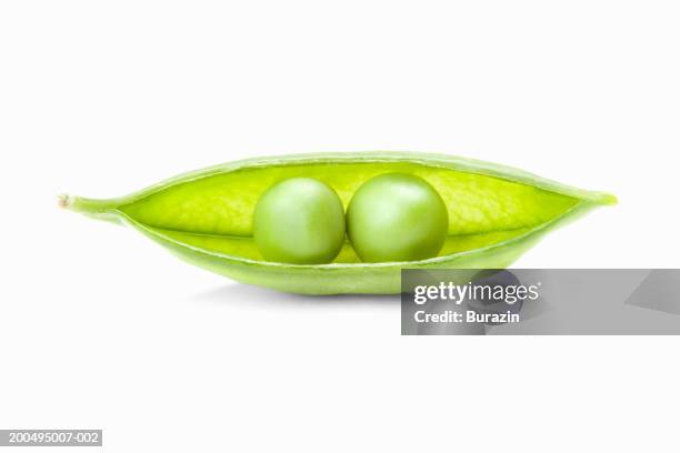 two peas in pod, against white background, close-up - two peas in a pod stockfoto's en -beelden