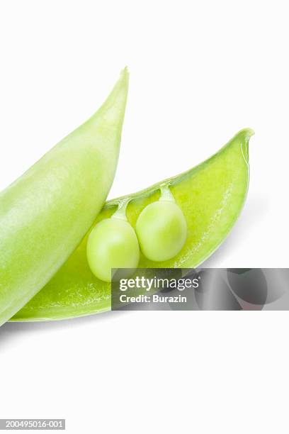two peas in pod, against white background, close-up - como-duas-ervilhas-numa-vagem - fotografias e filmes do acervo