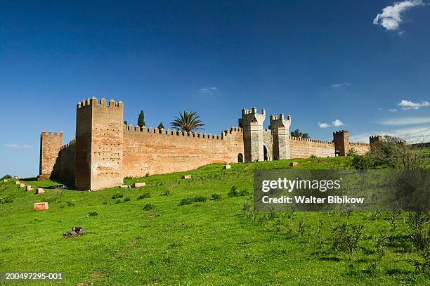 morocco, rabat, chellah-merenid necropolis - rabat morocco ストックフォトと画像