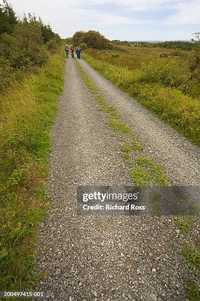 small group of people hiking through rural landscape - pebbled road stock pictures, royalty-free photos & images