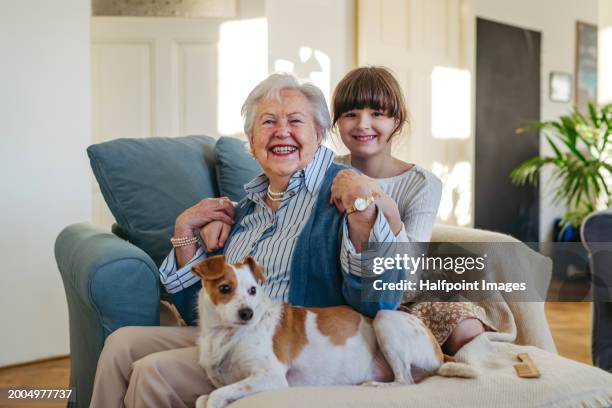 portrait of elderly woman spending time with granddaughter, smiling, looking at camera. grandmother with cute girl and dog at home. - multi generational family with pet stock pictures, royalty-free photos & images