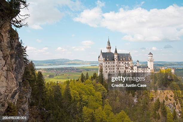 germany, bavaria, schloss neuschwanstein surrounded by forest - schloss neuschwanstein imagens e fotografias de stock