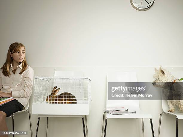 Teenage girl (14-14) sitting in vet waiting room, dog looking at rabbit in cage