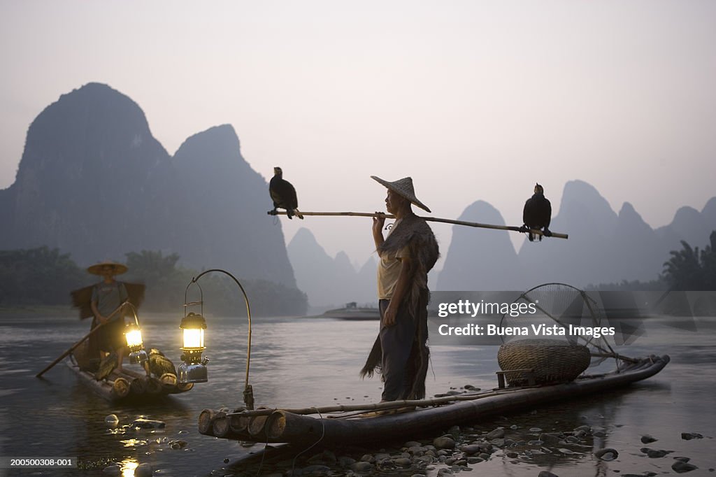 Mature fisherman with cormorans, dusk, side view