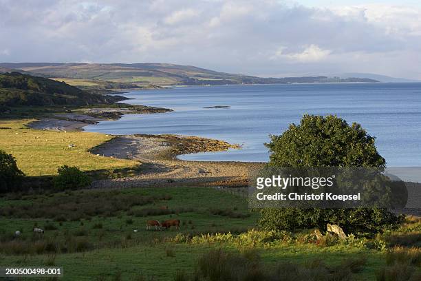 view of the bay of claonaig - wt1 stock pictures, royalty-free photos & images