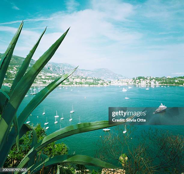 france, cote d'azur, villefranche-sur-mer, boats in bay - costa azul fotografías e imágenes de stock