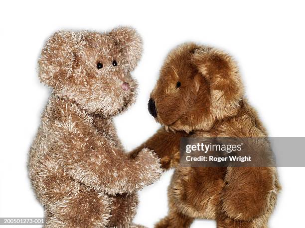 two teddy bears shaking hands - teddy bear on white foto e immagini stock