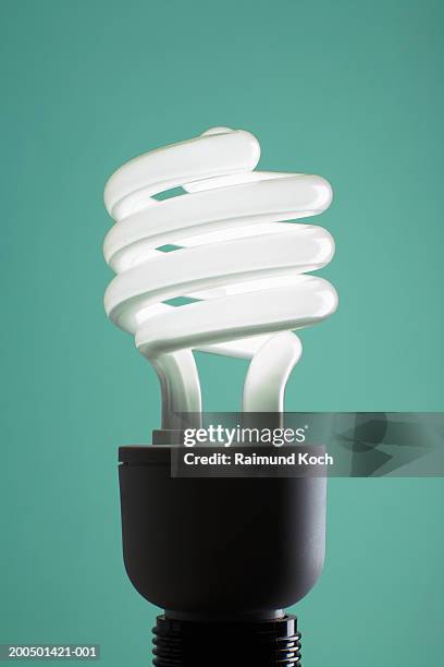 energy saving light bulb - energy efficient lightbulb bildbanksfoton och bilder