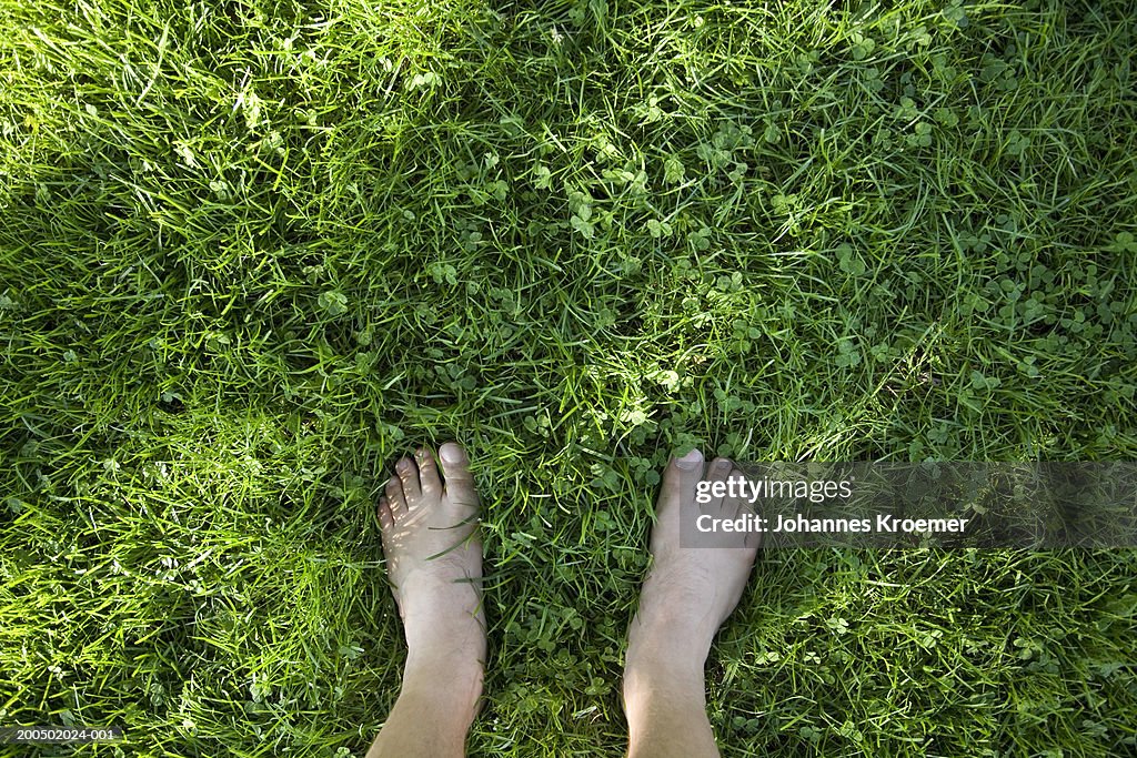 Woman standing barefoot on grass, low section