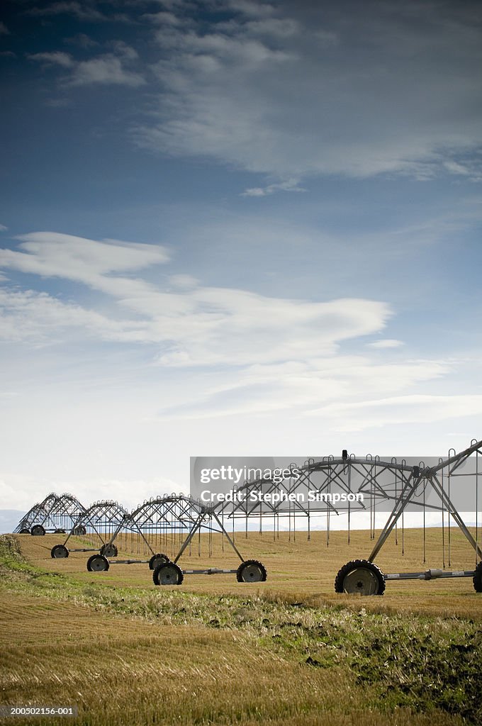 Irrigation sprinkler system in field