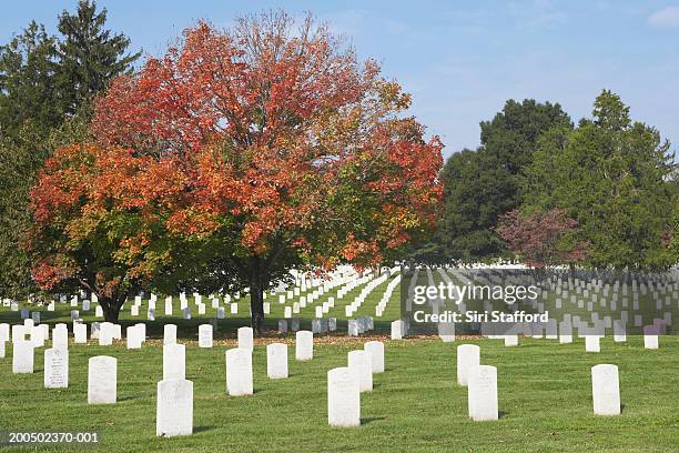 usa, virginia, arlington, arlington national cemetery - túmulo do soldado desconhecido arlington imagens e fotografias de stock