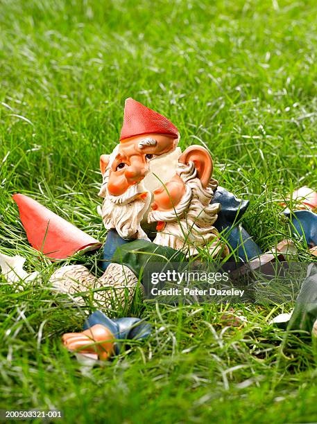 smashed garden gnome on grass - gnomo da giardino foto e immagini stock