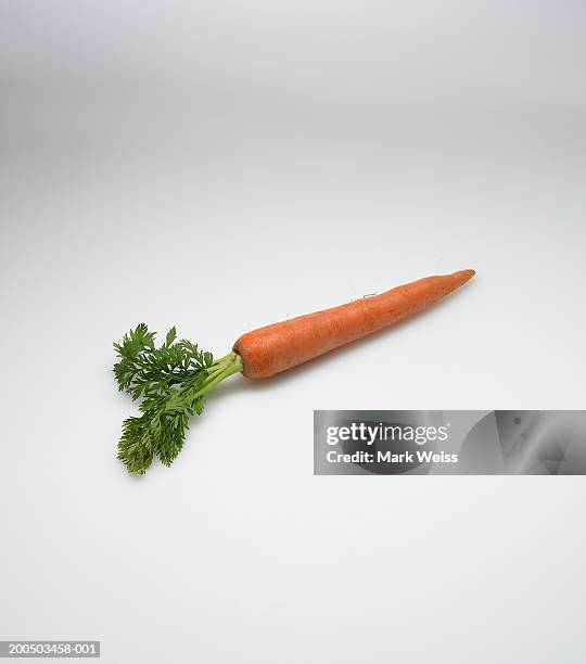 carrot on white background, studio shot - carrot stock pictures, royalty-free photos & images