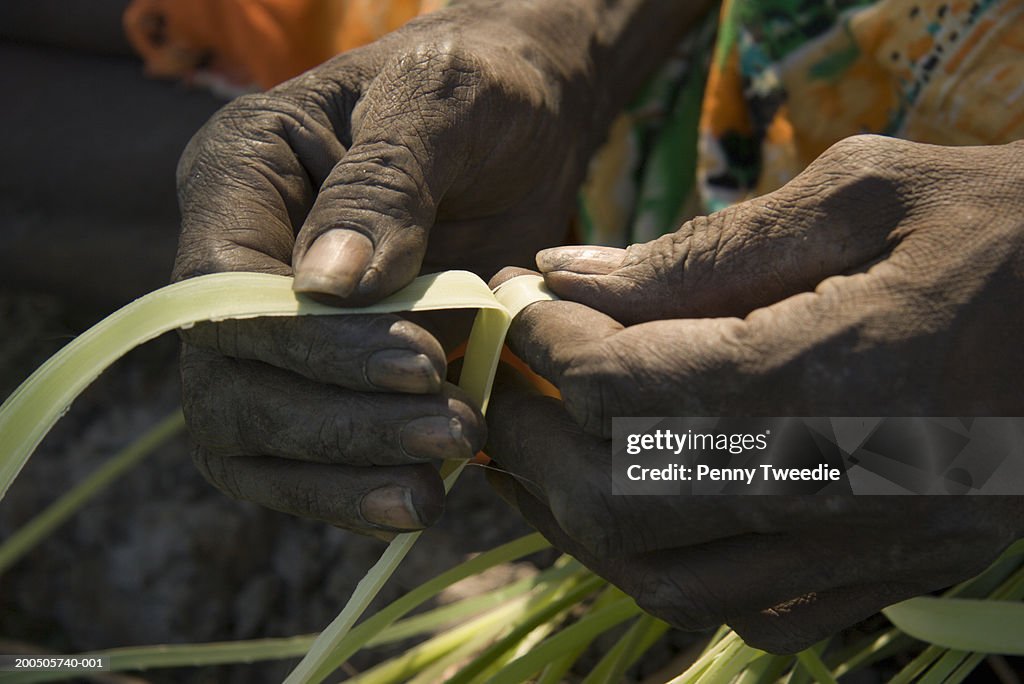 Aboriginal craftswoman splitting pandanus for weaving, close-up