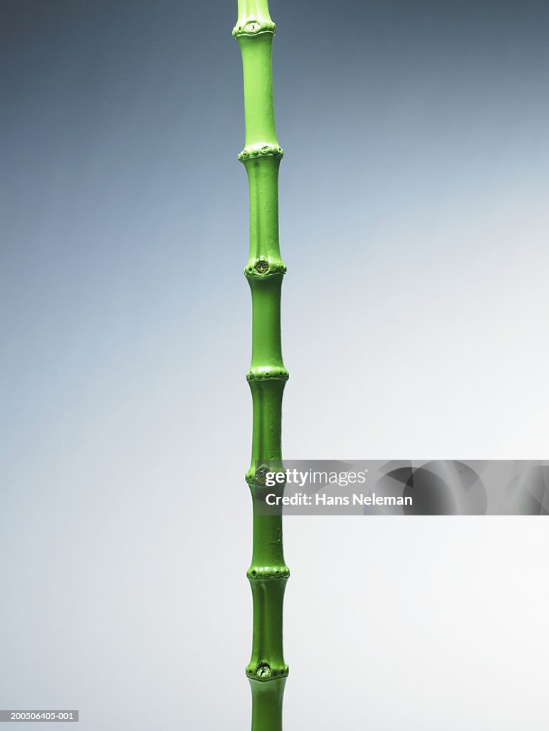 Green Bamboo Stick High-Res Stock Photo - Getty Images