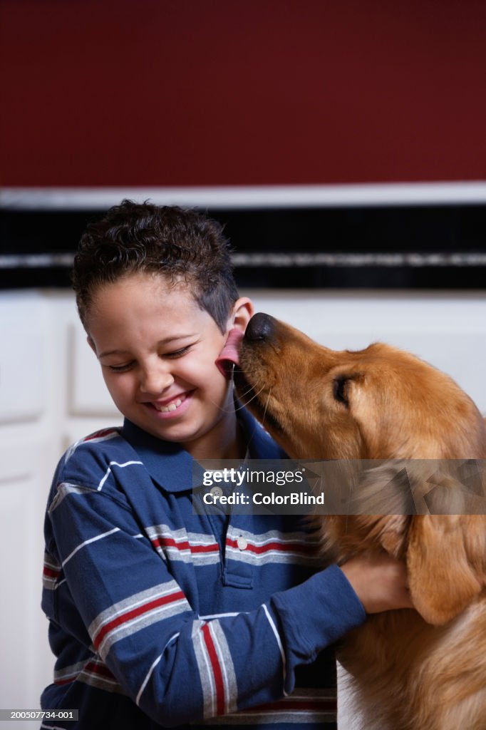 Golden retriever licking boy's (9-11) ear