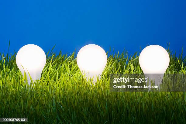 three glowing light bulbs on lawn - three light bulbs stock pictures, royalty-free photos & images