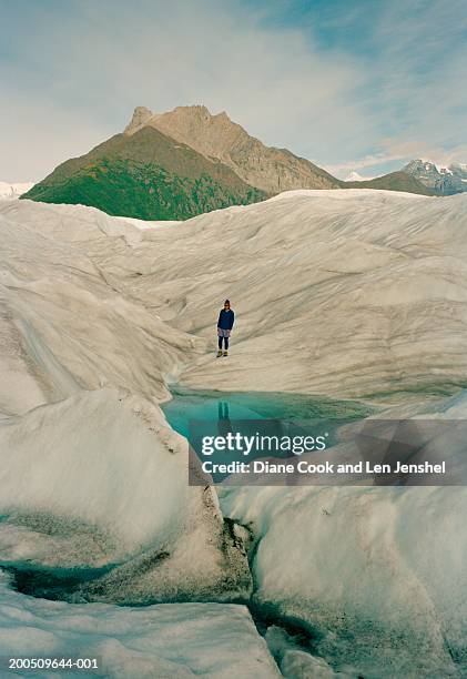 root glacier, wrangell - st. elias national park, alaska usa - root glacier stock-fotos und bilder