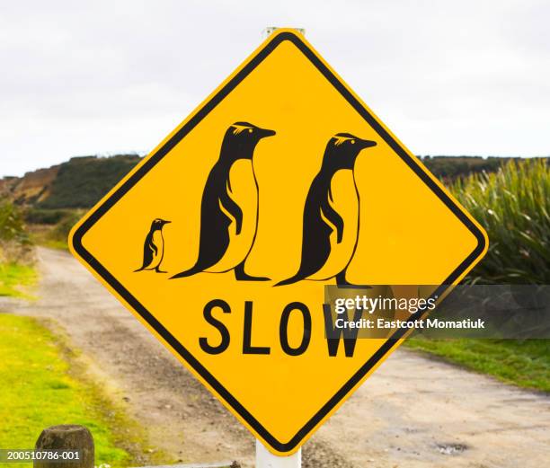 Penguin Sign 332 Road Safety Nz Stock Photos, High-Res Pictures, and Images - Getty ...