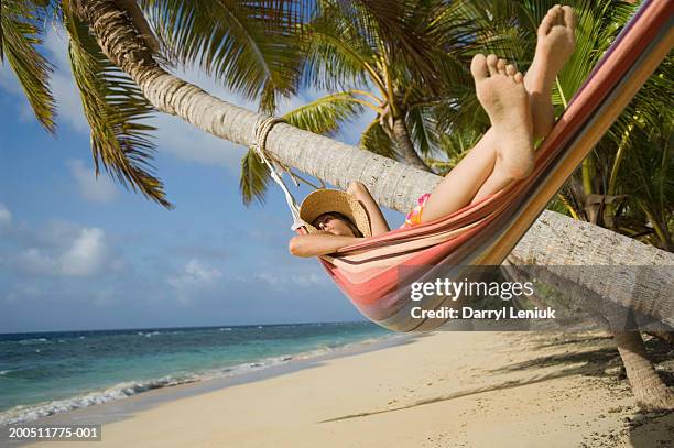 fiji, namenalala island, young woman lying in hammock on beach - fiji people stock pictures, royalty-free photos & images