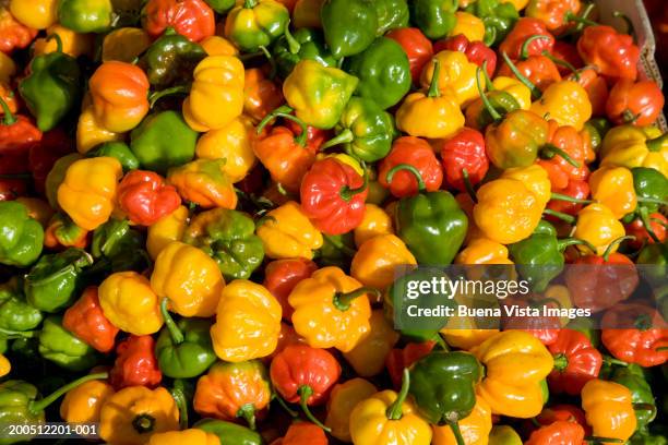 scotch bonnets in market - antilles ストックフォトと画像