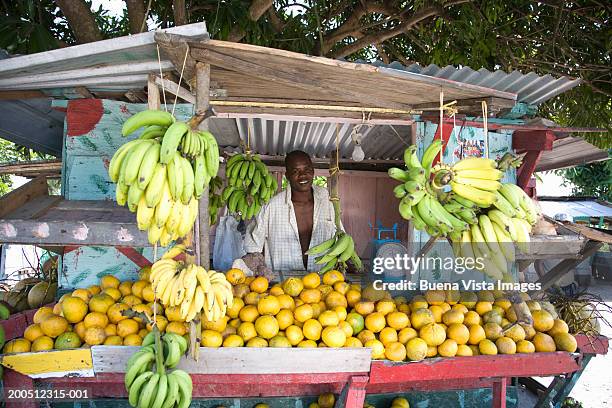 jamaica, annotto bay, fruit vendor - jamaicansk stock pictures, royalty-free photos & images