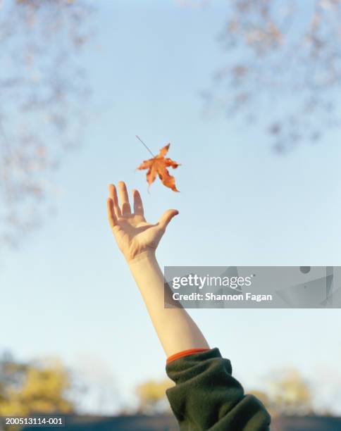 Catching Falling 2,587 Catching Someone Falling Stock Photos, High-Res Pictures, and ...