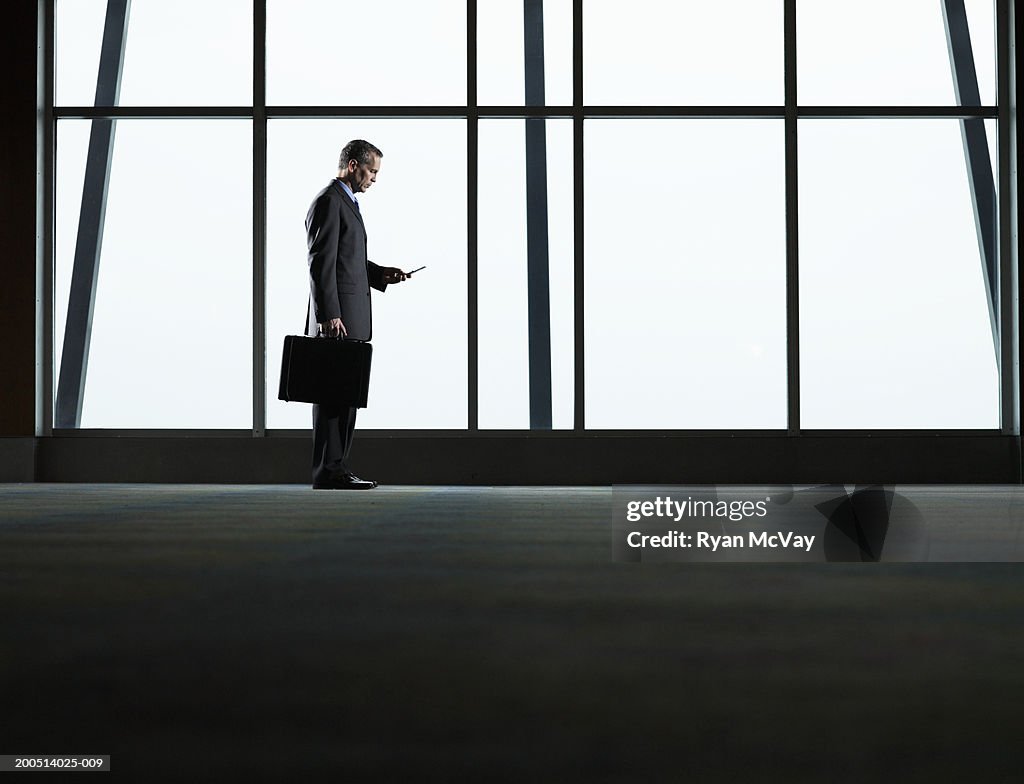 Mature businessman using cell phone beside windows, side view