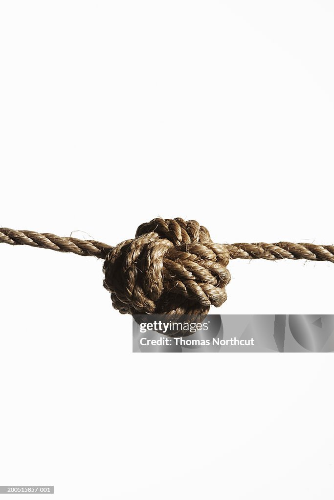 Monkey's fist knot in rope