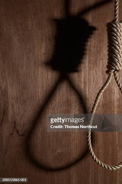 hangman's noose - noose stock pictures, royalty-free photos & images