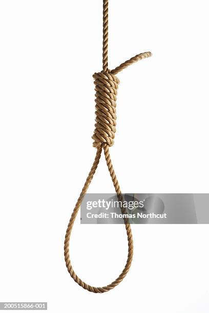 hangman's noose - noose stock pictures, royalty-free photos & images