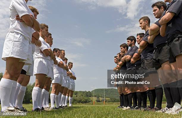 two rugby teams standing on pitch facing each other, low angle view - diverbio foto e immagini stock